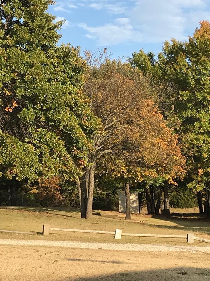 Arrowhead Point Lodge & Campground Kingston المظهر الخارجي الصورة